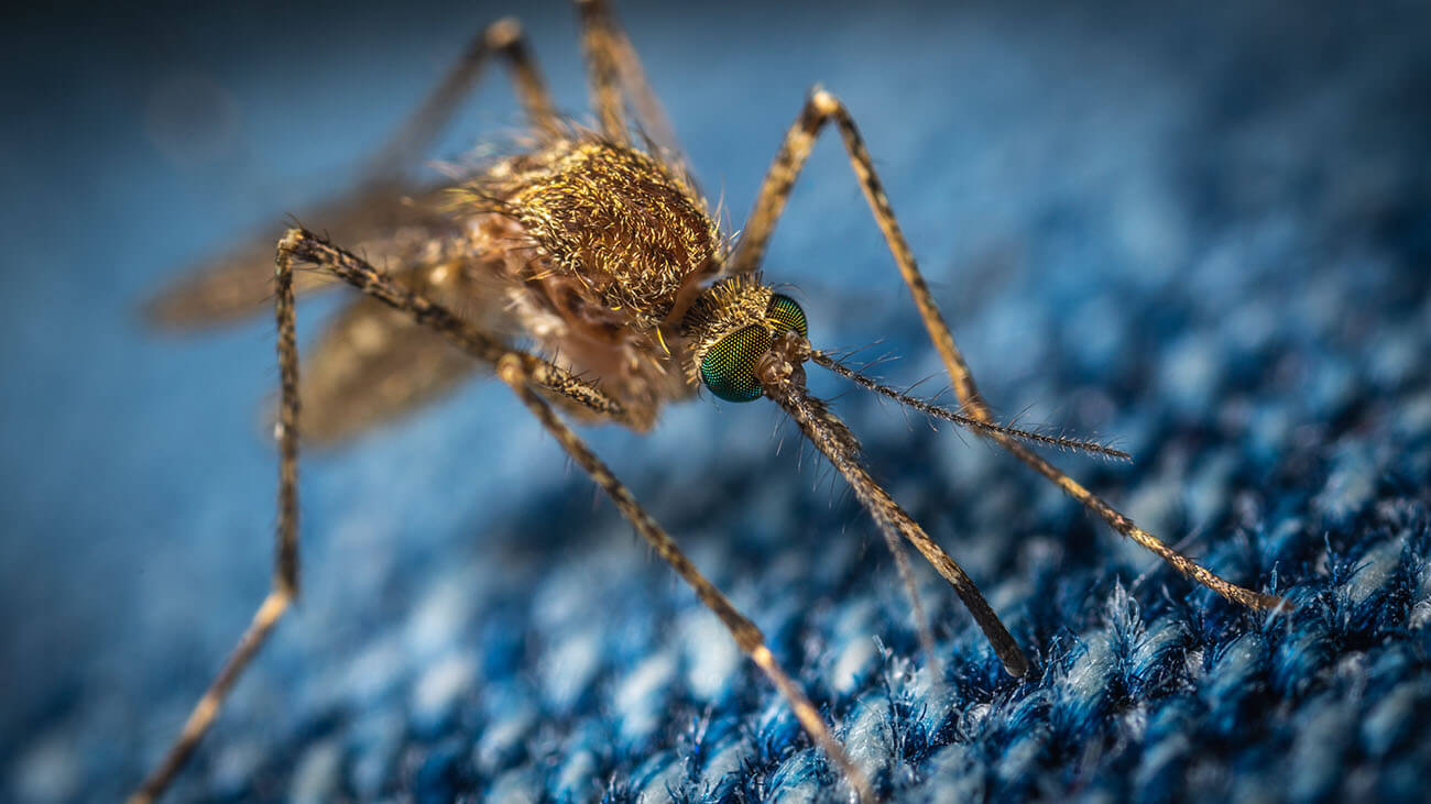 tejidos anti mosquitos