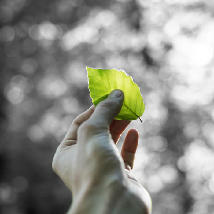 sustainability fabric